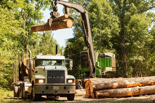  Big equipment filling a Mack truck with timber logs 