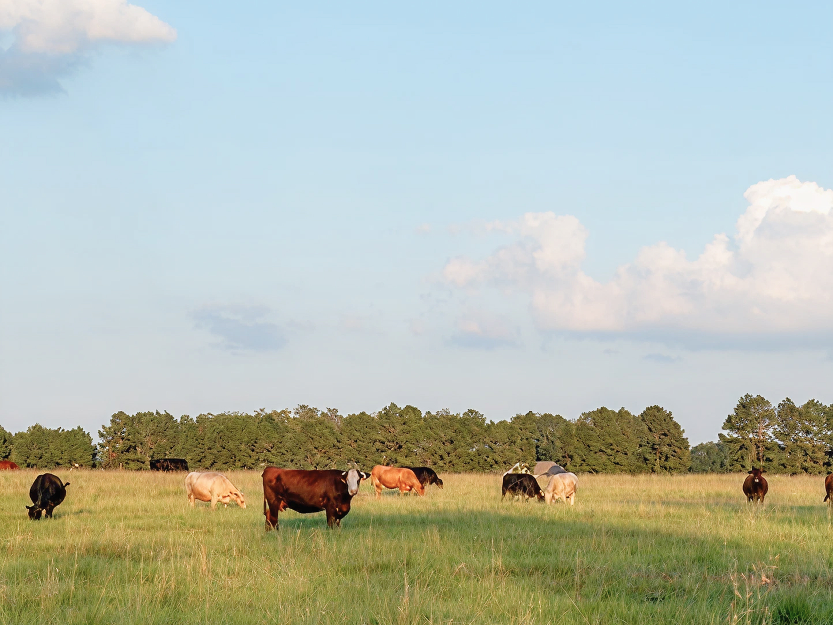 Fall Financial Tips: Making the Most of Your Operating Credit