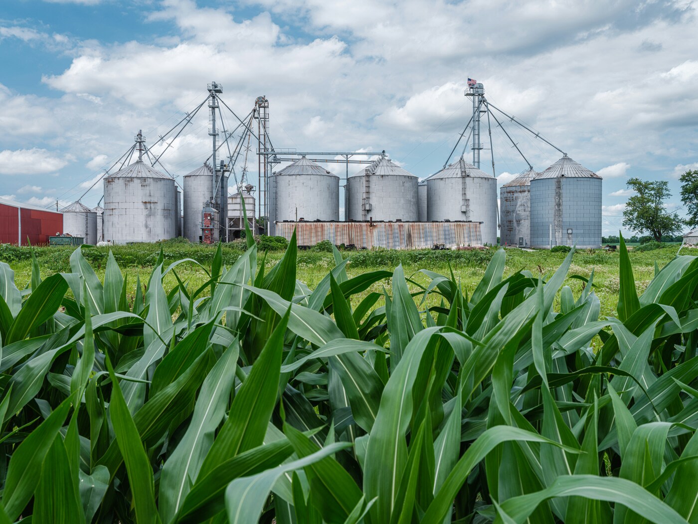  silos on a farm 