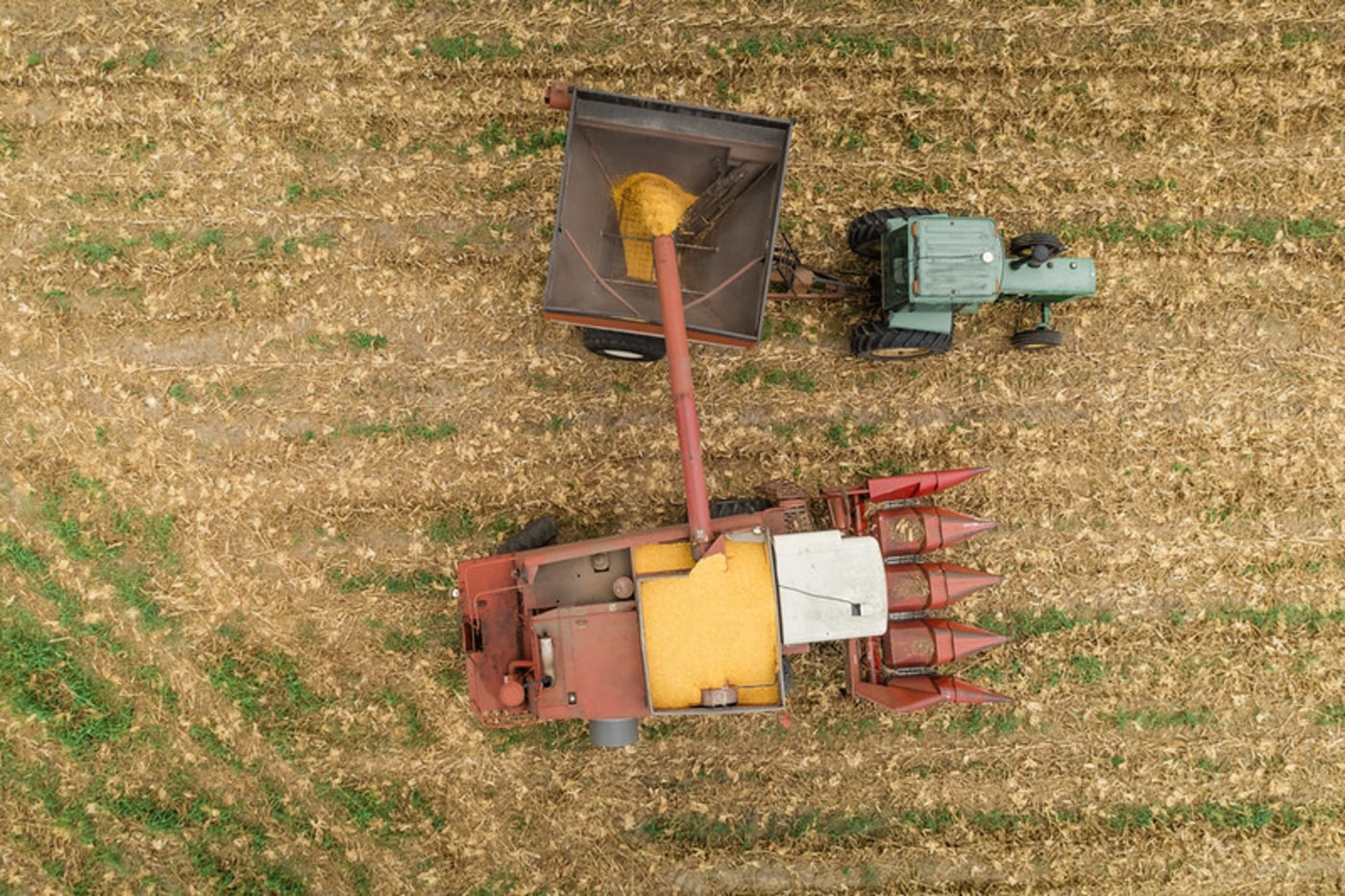  Farming equipment being used in the field 