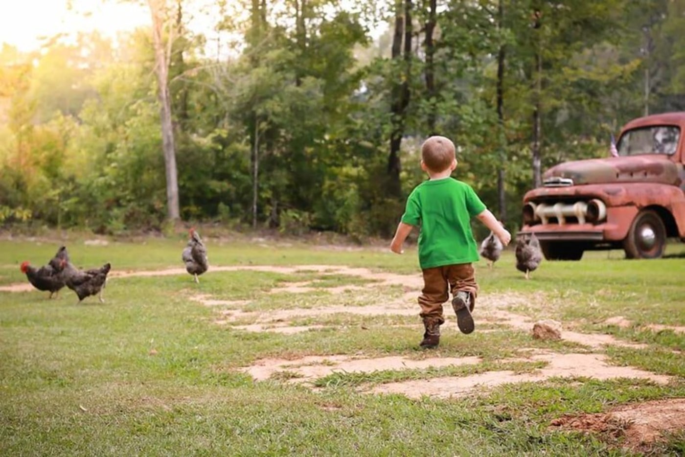  Child playing in yard with chickens 