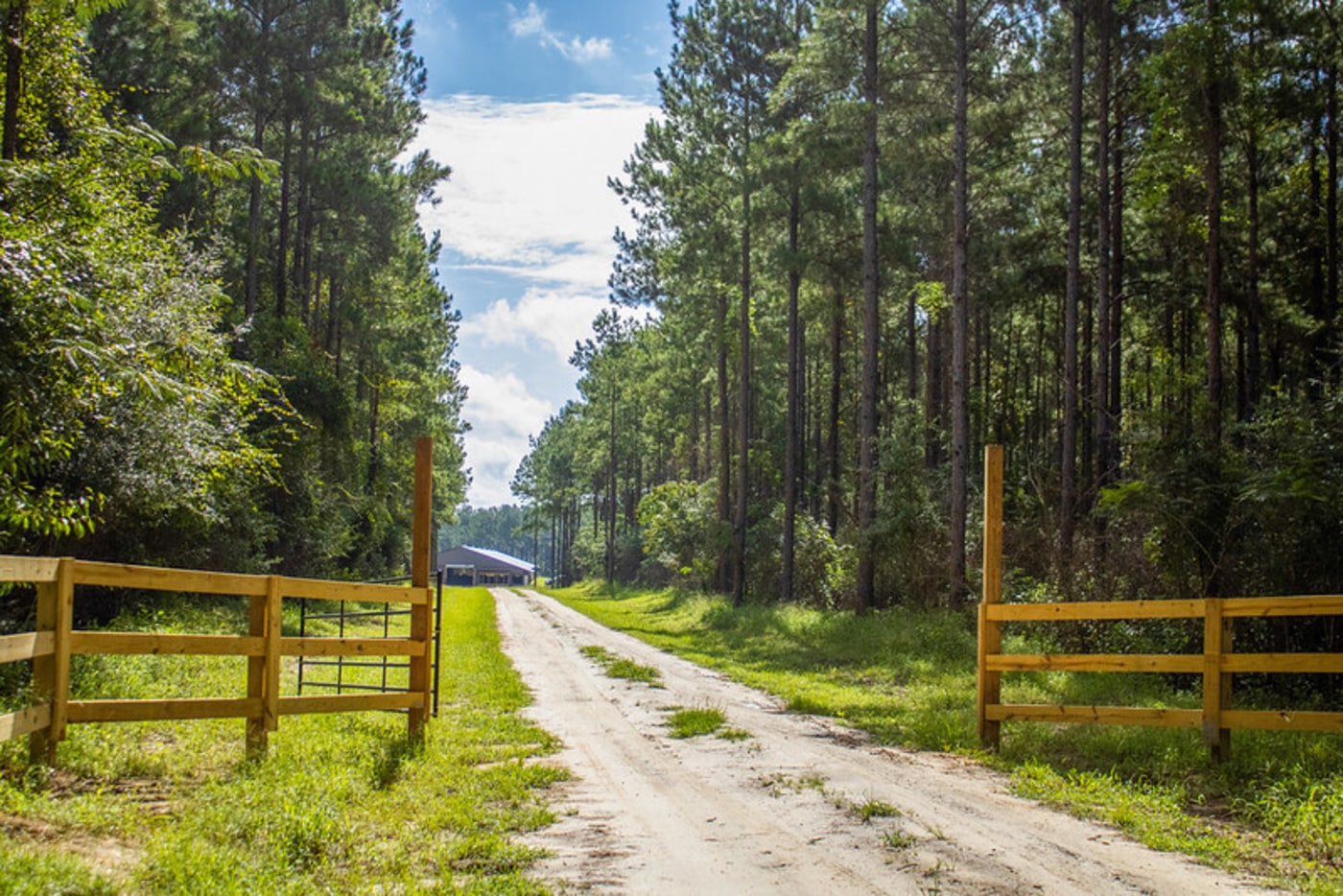  54688907466 4e4f54352b C 