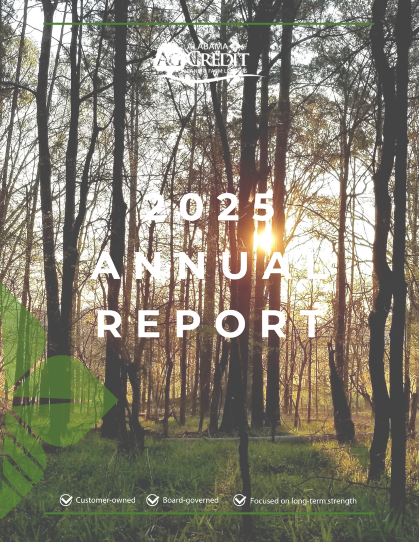  2025 Annual Report Cover 