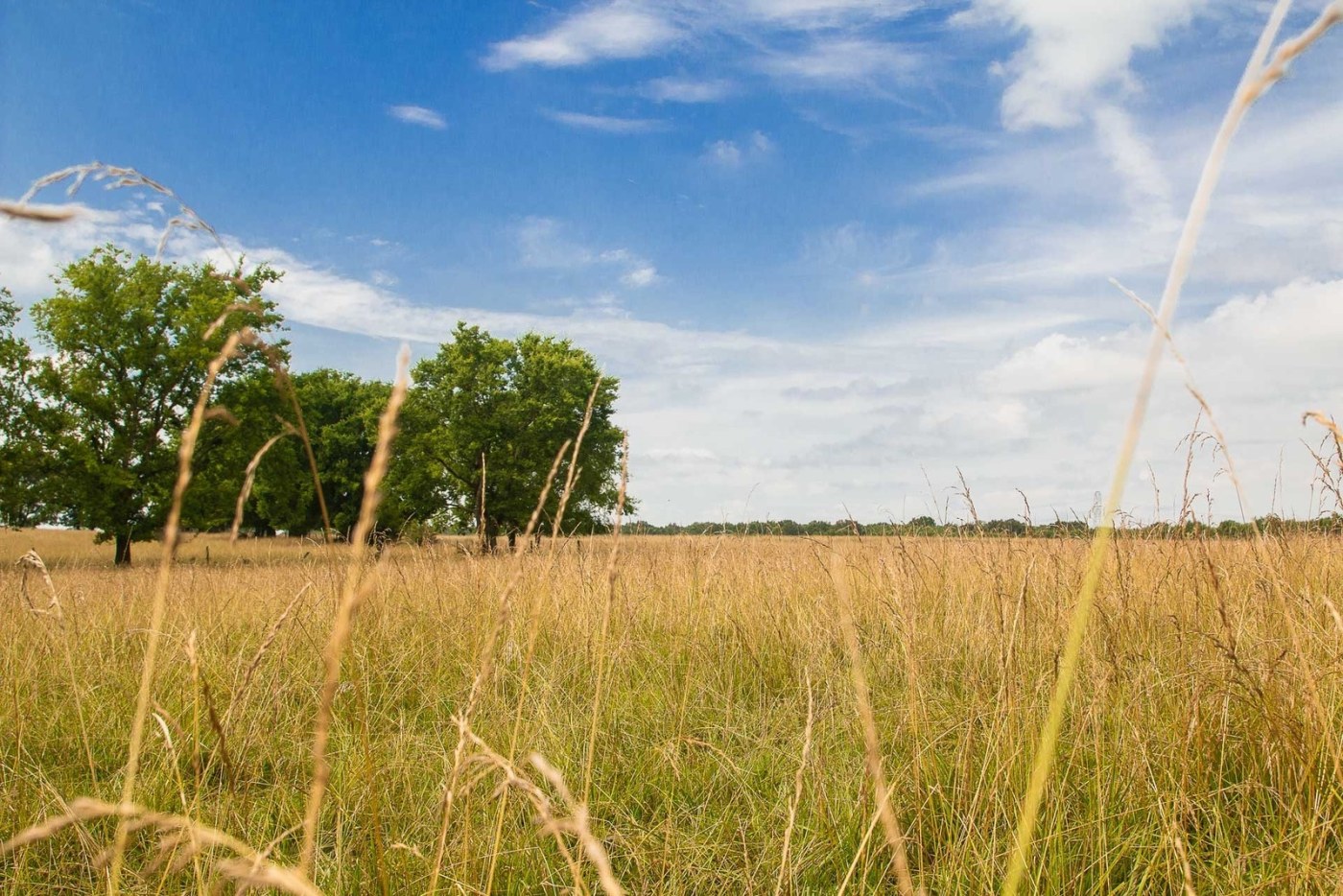 Alabama Land Pricing Guide 2025