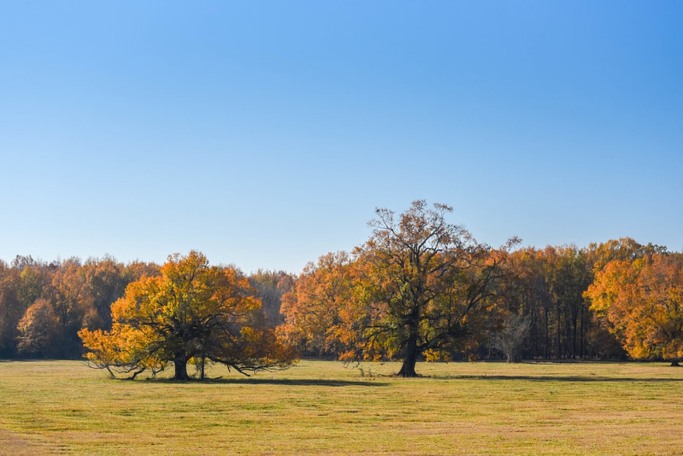 Is Now a Good Time to Buy Land in Alabama?