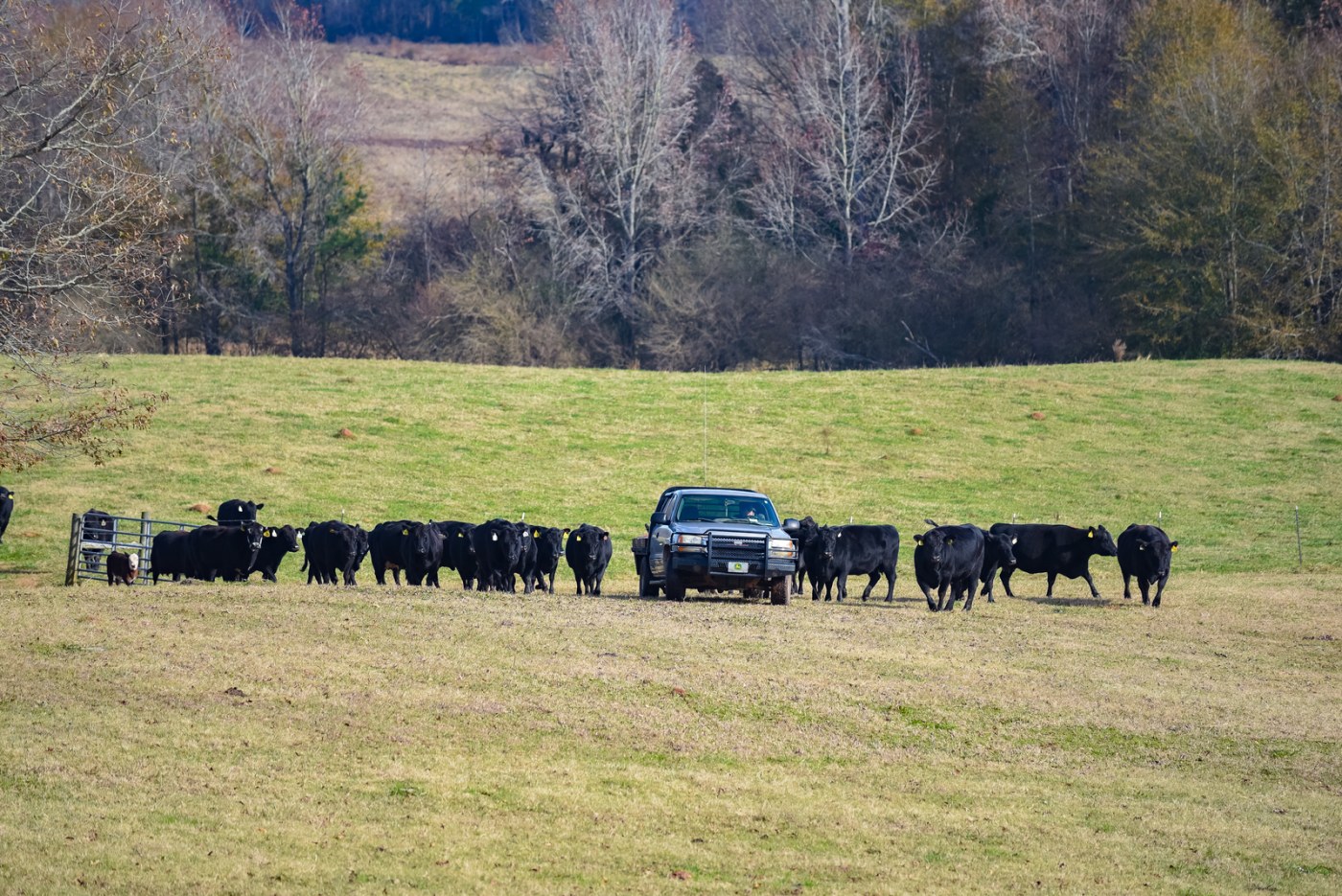 How To Get a Lower Interest Rate on a Land Loan